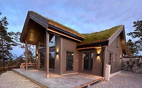 Modern Northern Lights Cabin
