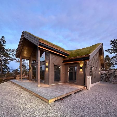 Modern Northern Lights Cabin Drangedal Eksteriør bilde