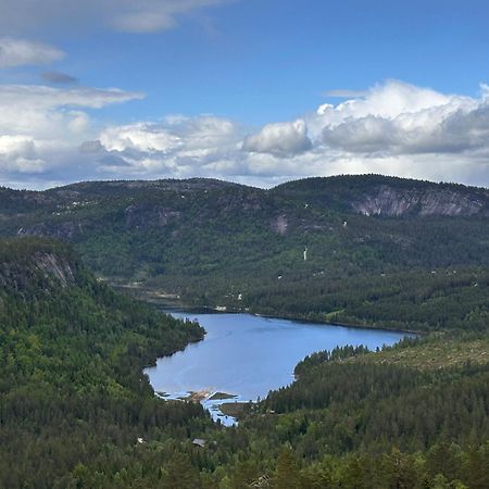 Modern Northern Lights Cabin Drangedal Eksteriør bilde