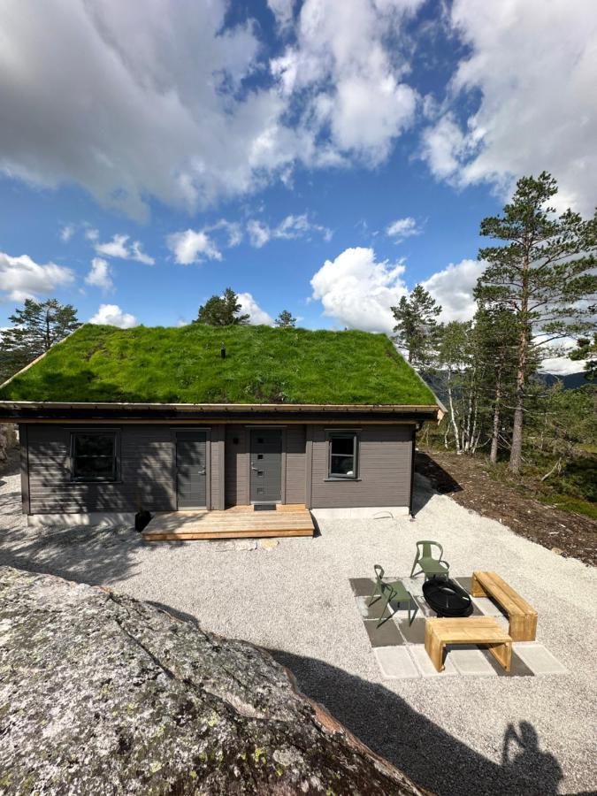 Modern Northern Lights Cabin Drangedal Eksteriør bilde