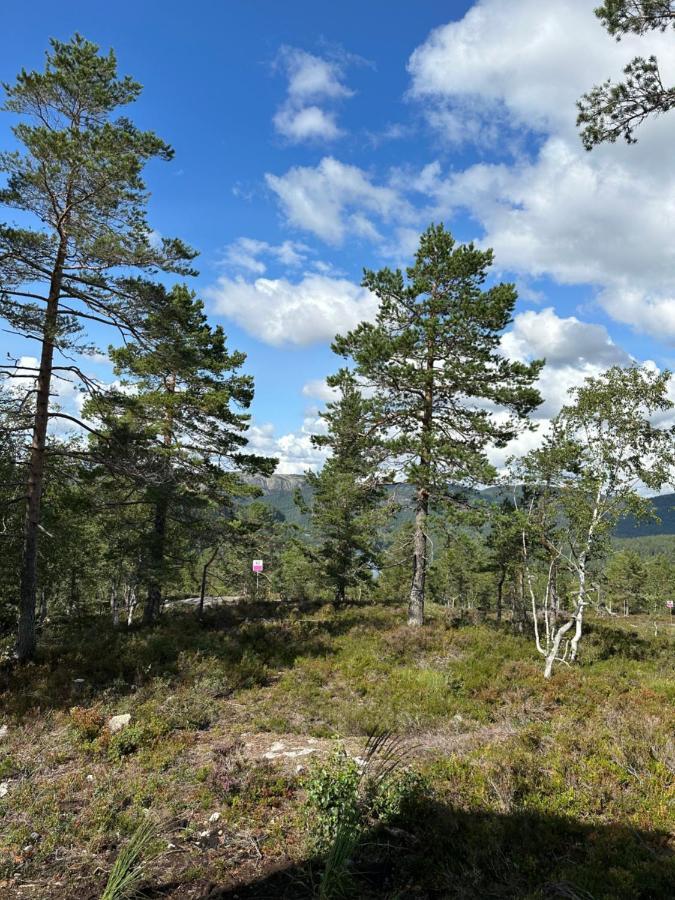 Modern Northern Lights Cabin Drangedal Eksteriør bilde