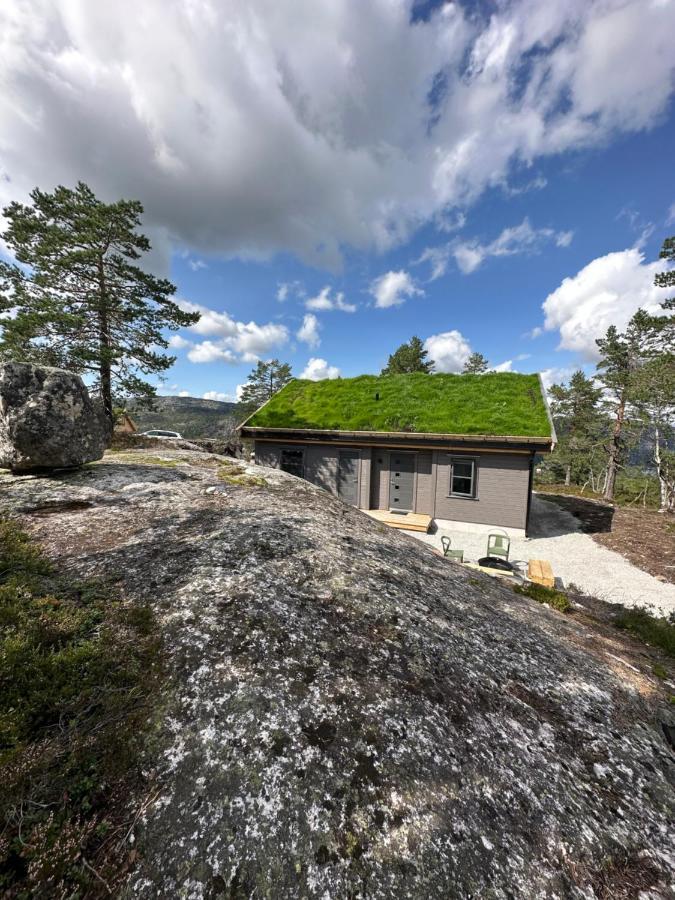 Modern Northern Lights Cabin Drangedal Eksteriør bilde