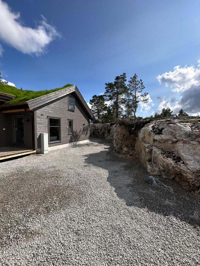Modern Northern Lights Cabin Drangedal Eksteriør bilde