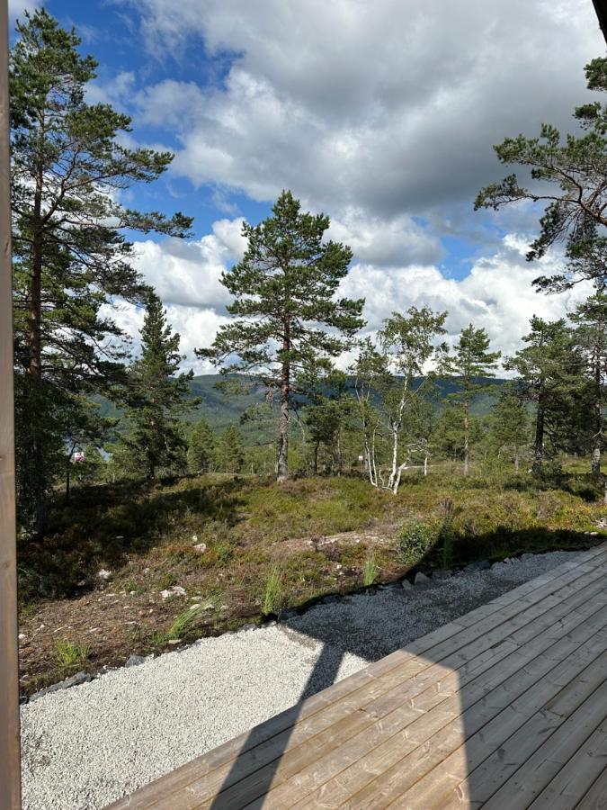 Modern Northern Lights Cabin Drangedal Eksteriør bilde