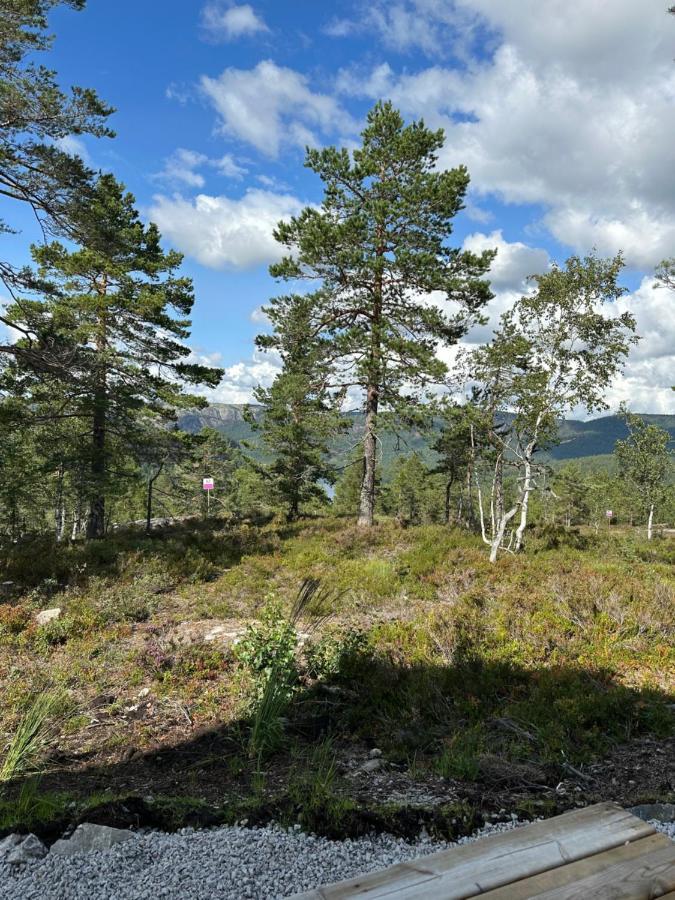 Modern Northern Lights Cabin Drangedal Eksteriør bilde