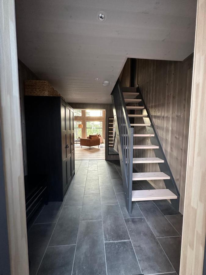 Modern Northern Lights Cabin Drangedal Eksteriør bilde