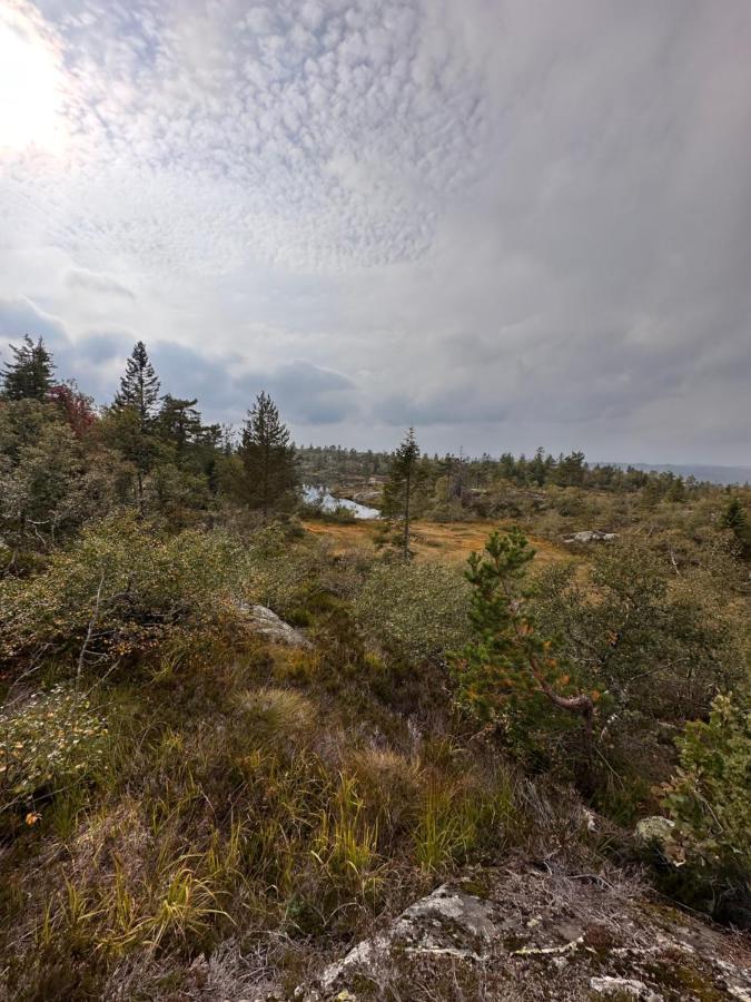Modern Northern Lights Cabin Drangedal Eksteriør bilde