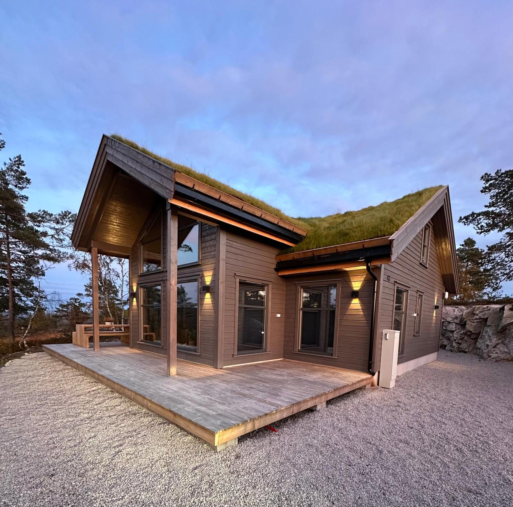 Modern Northern Lights Cabin Drangedal Eksteriør bilde