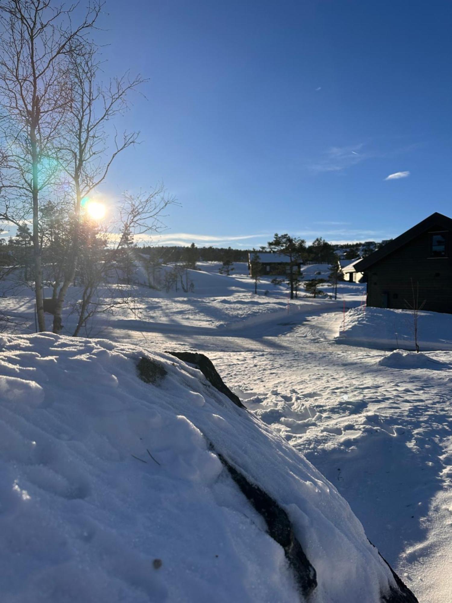 Modern Northern Lights Cabin Drangedal Eksteriør bilde