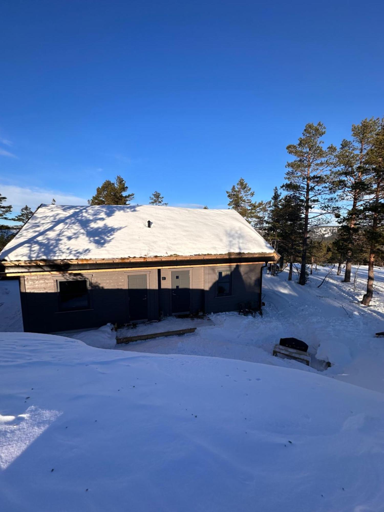 Modern Northern Lights Cabin Drangedal Eksteriør bilde