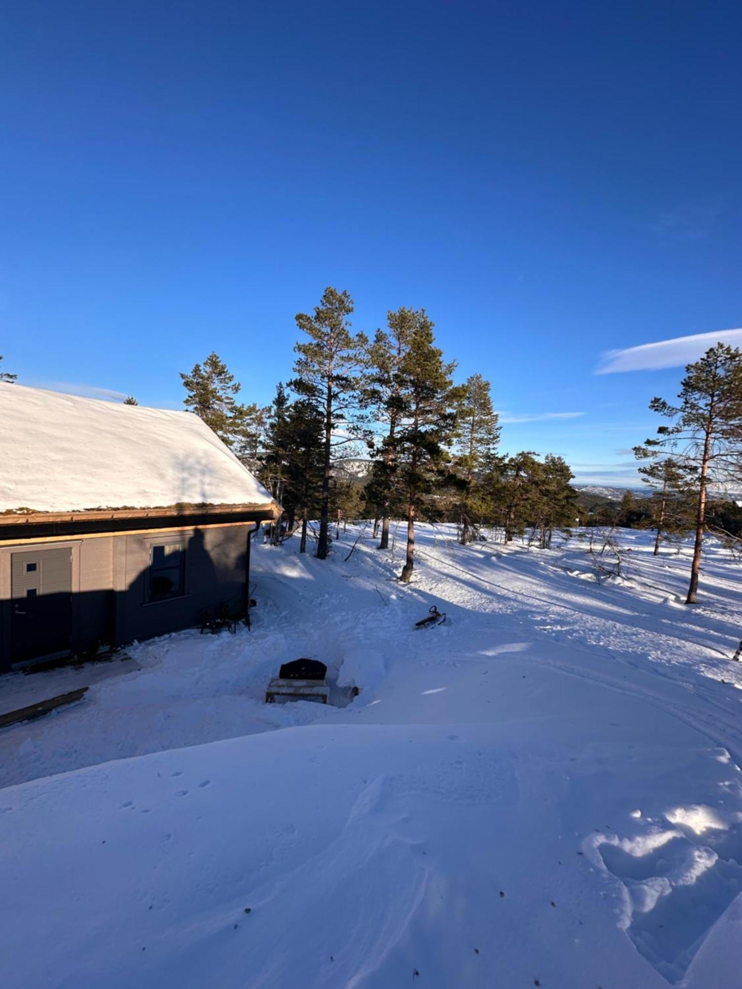 Modern Northern Lights Cabin Drangedal Eksteriør bilde