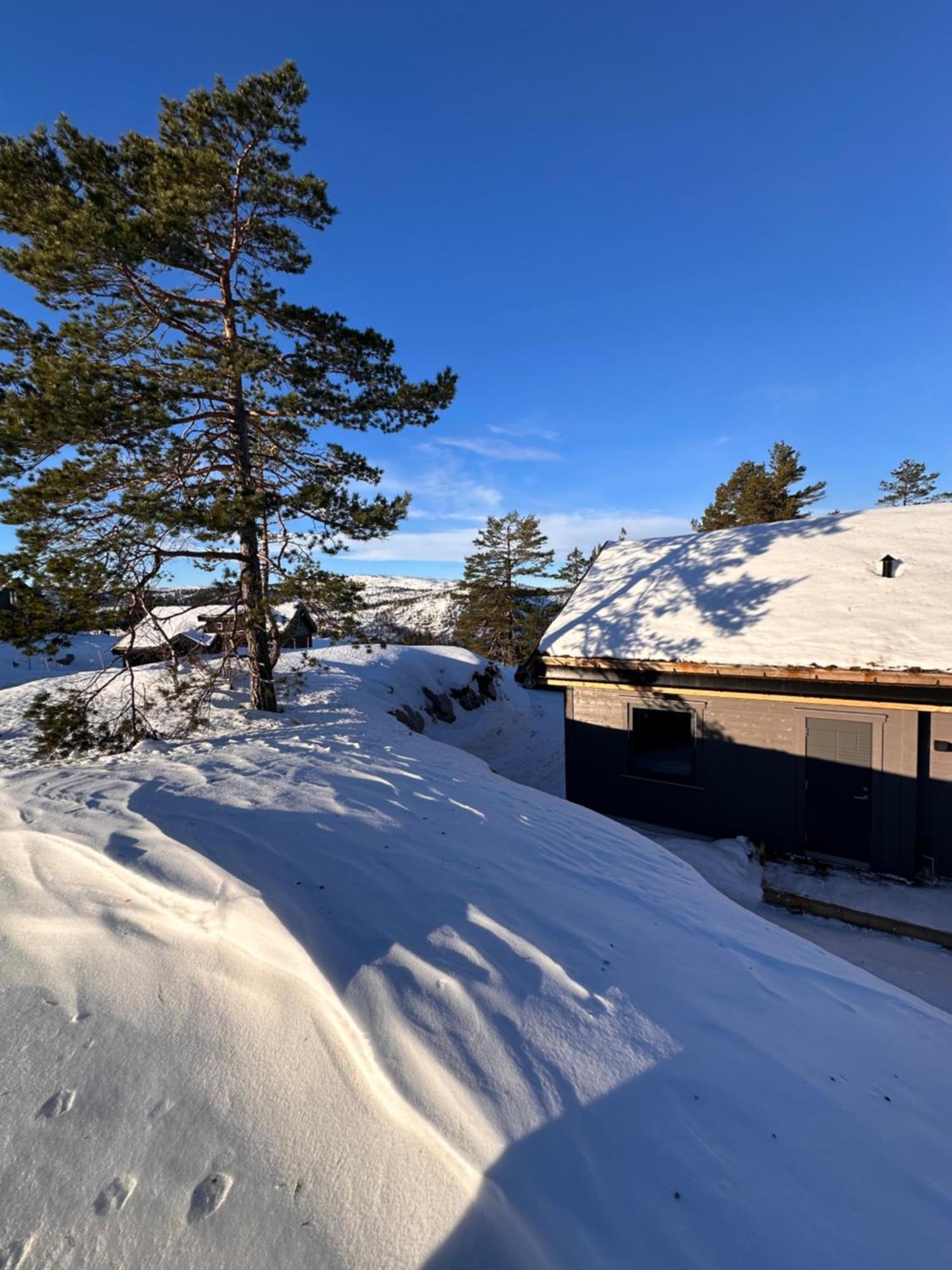 Modern Northern Lights Cabin Drangedal Eksteriør bilde