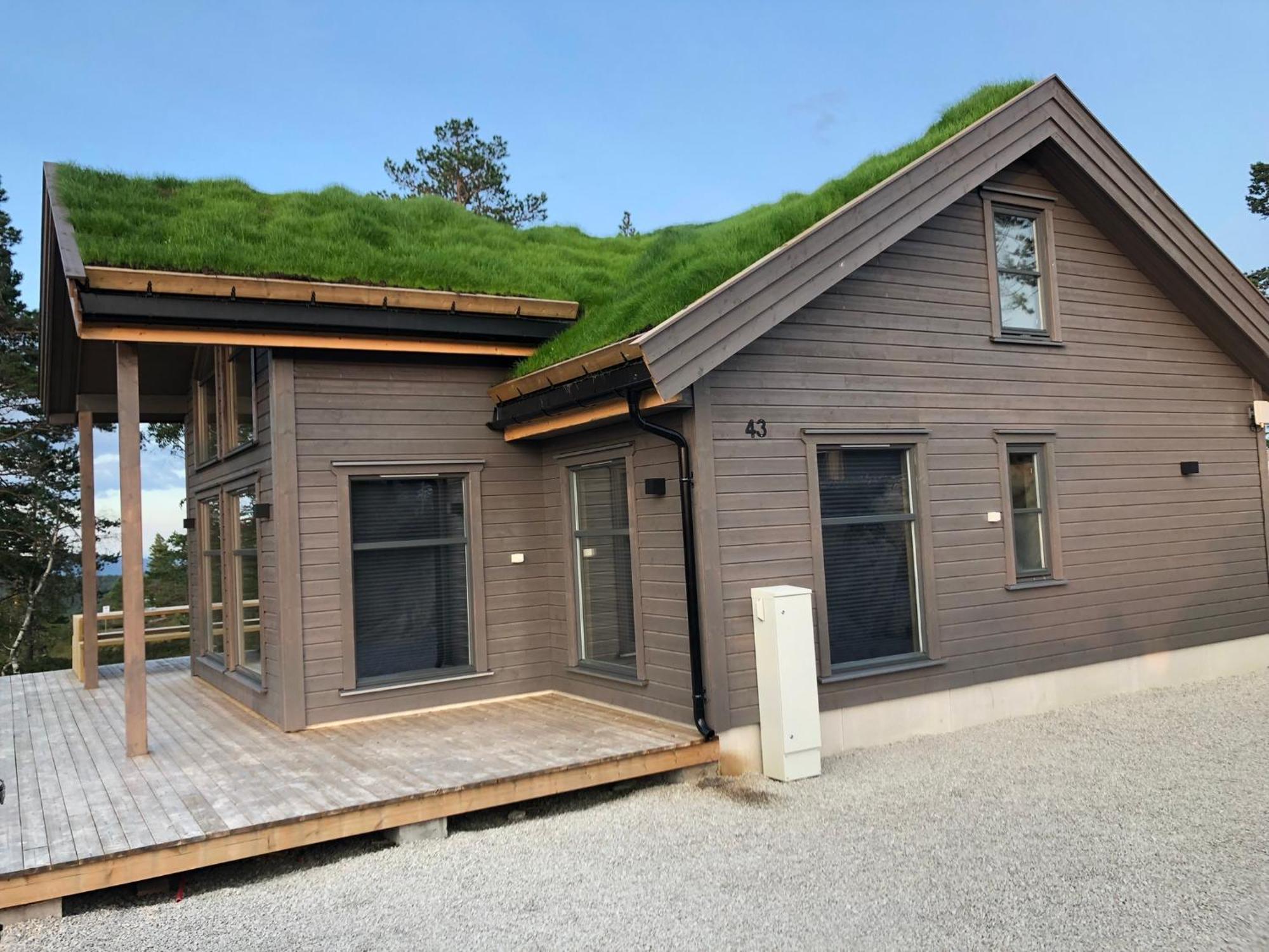 Modern Northern Lights Cabin Drangedal Eksteriør bilde