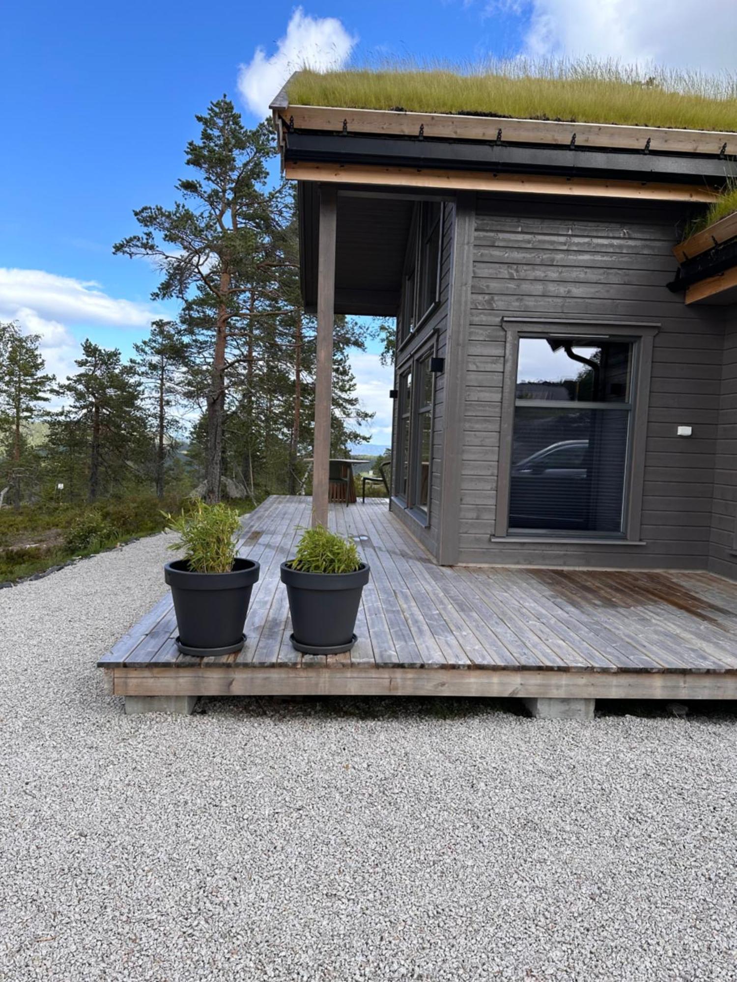 Modern Northern Lights Cabin Drangedal Eksteriør bilde