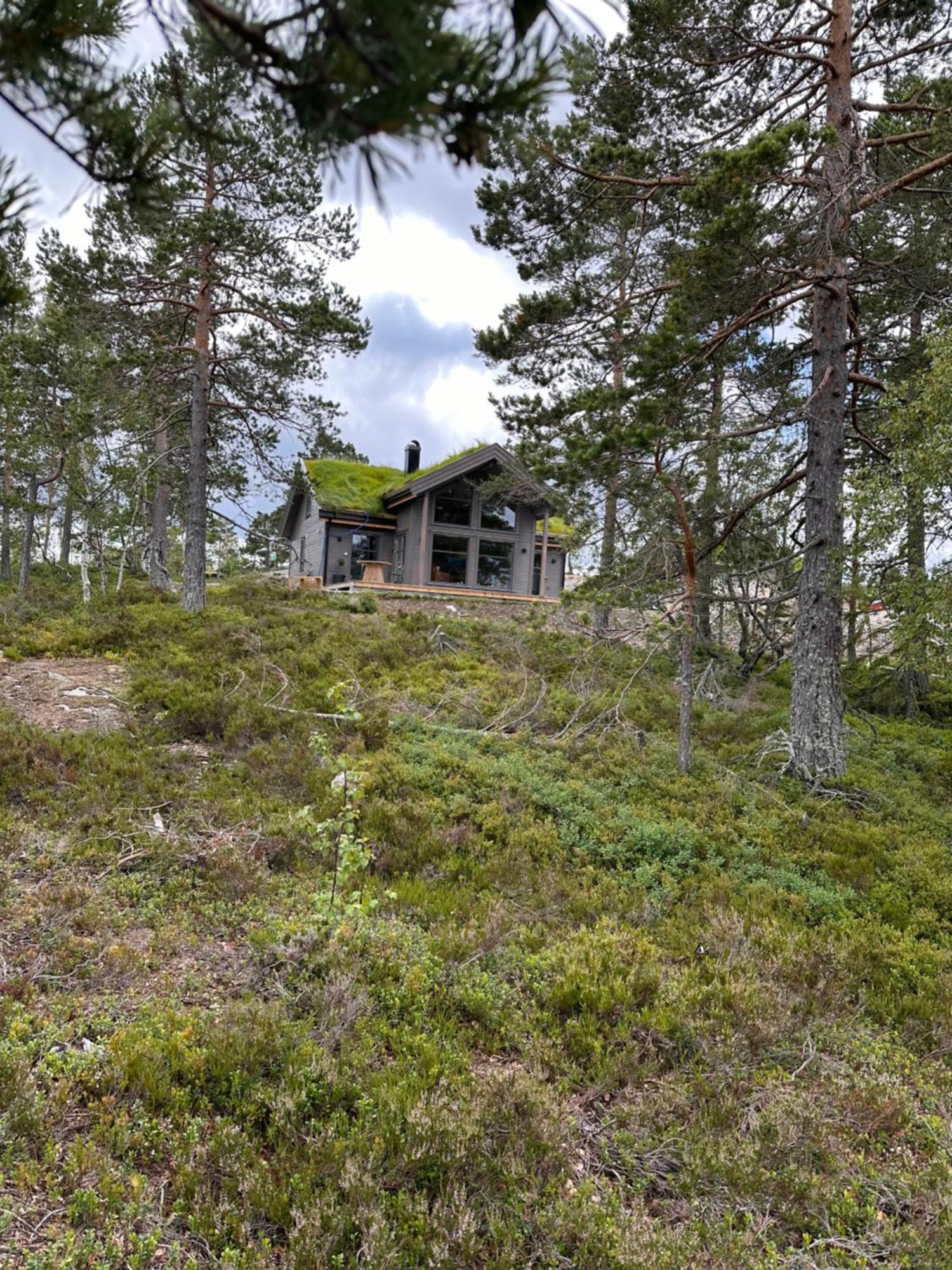 Modern Northern Lights Cabin Drangedal Eksteriør bilde