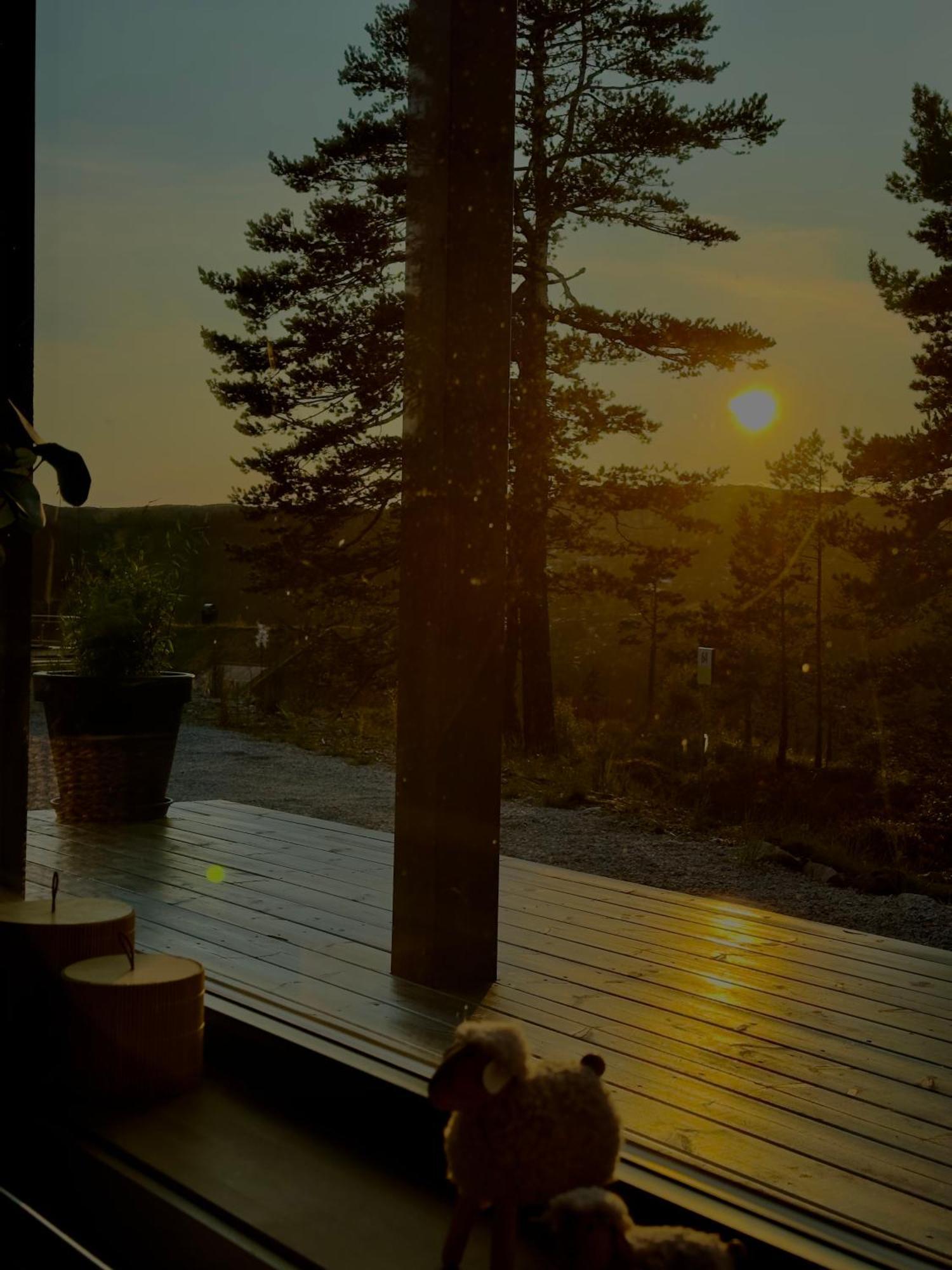 Modern Northern Lights Cabin Drangedal Eksteriør bilde