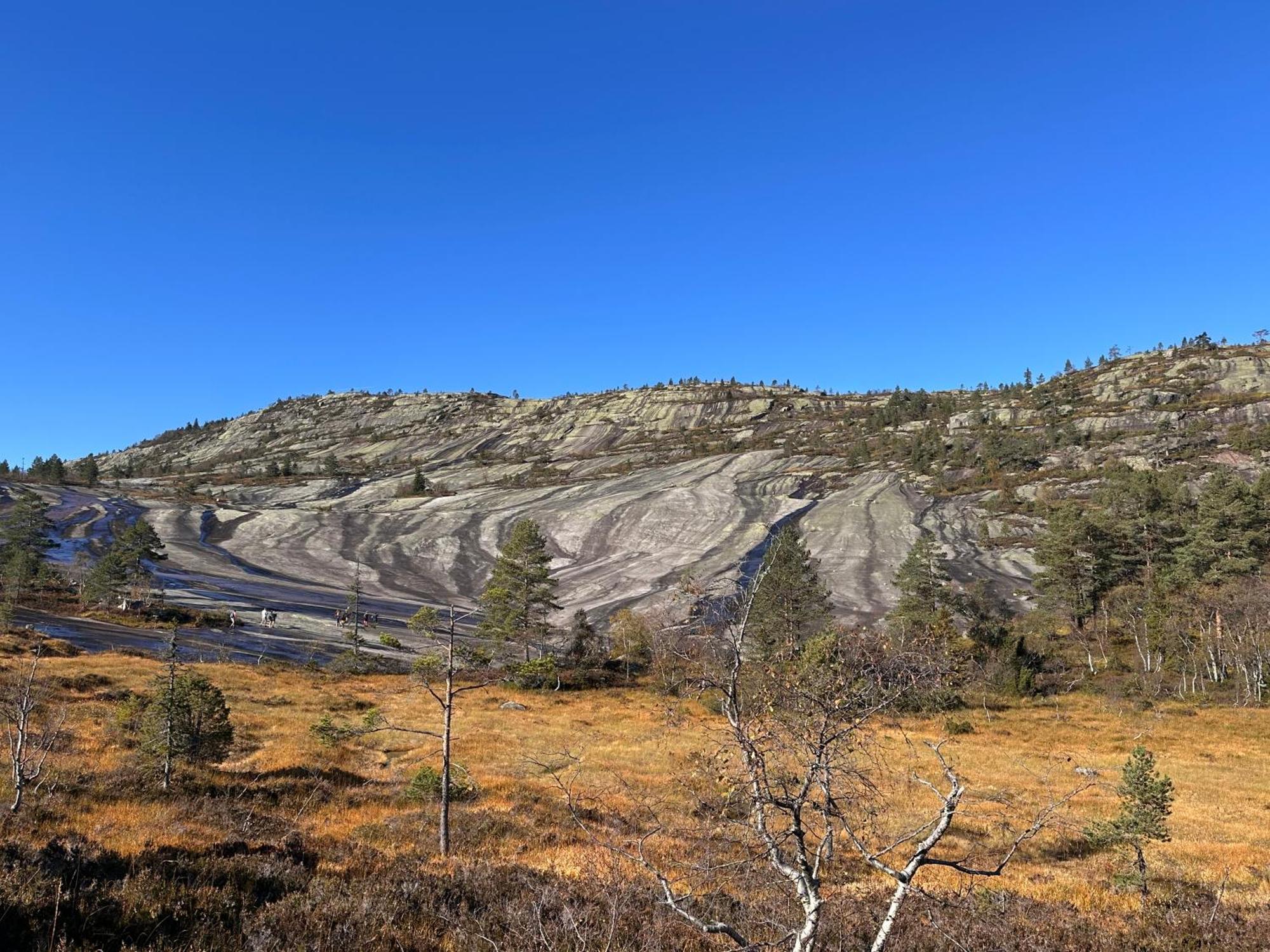 Modern Northern Lights Cabin Drangedal Eksteriør bilde