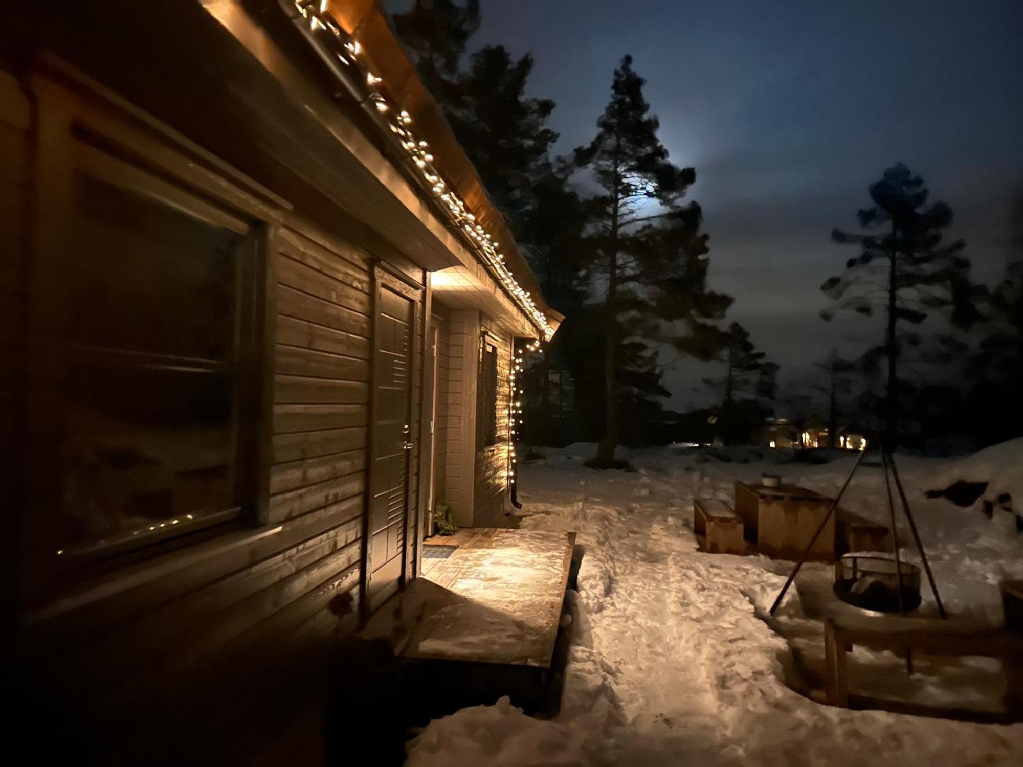 Modern Northern Lights Cabin Drangedal Eksteriør bilde