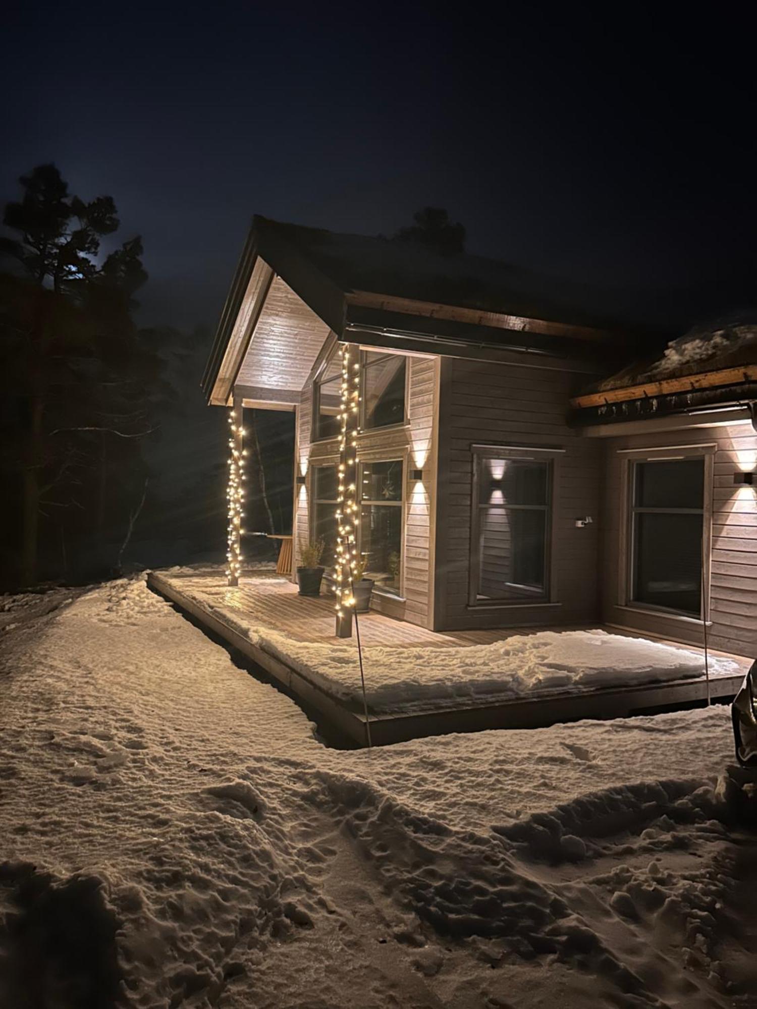 Modern Northern Lights Cabin Drangedal Eksteriør bilde