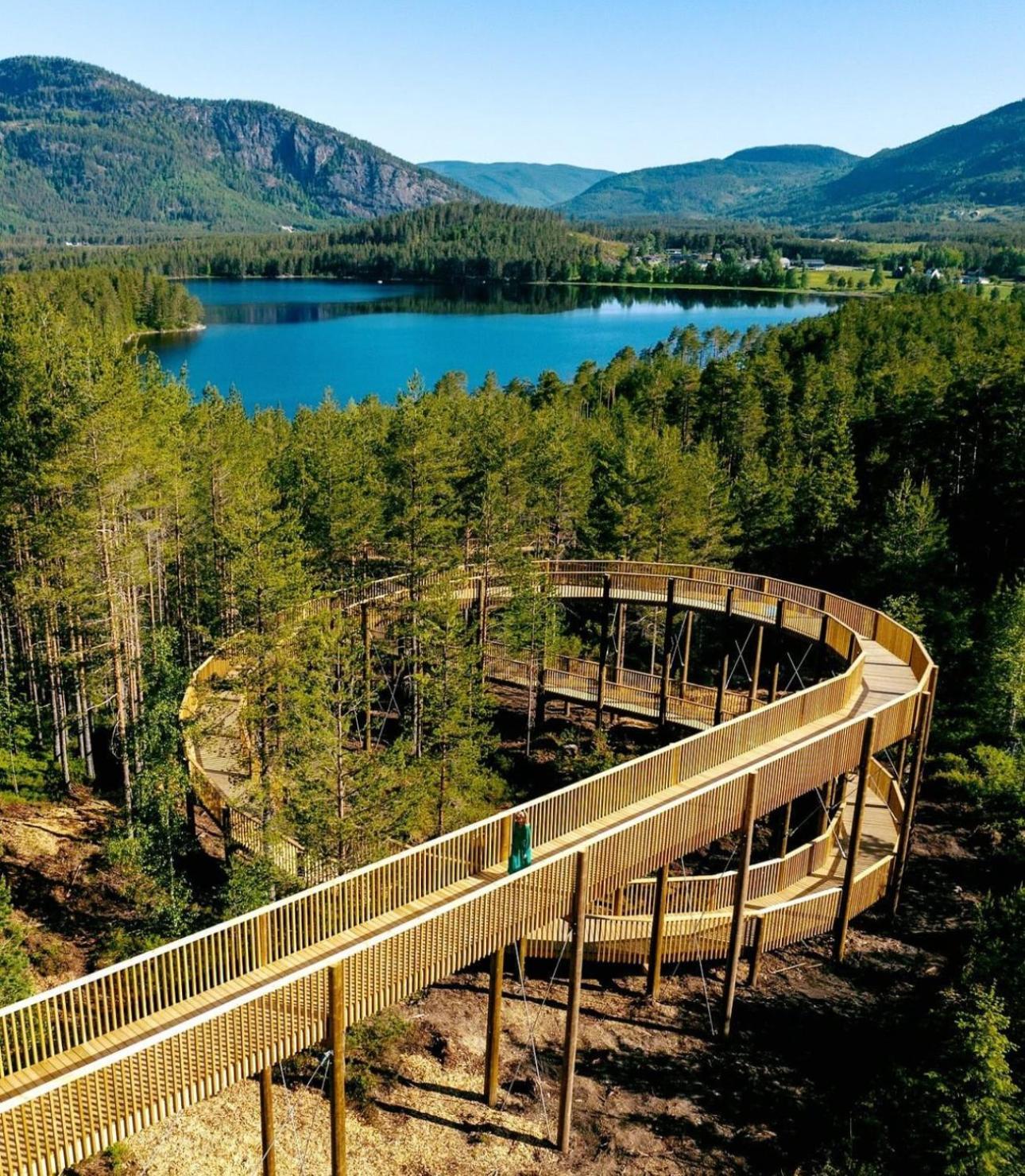 Modern Northern Lights Cabin Drangedal Eksteriør bilde