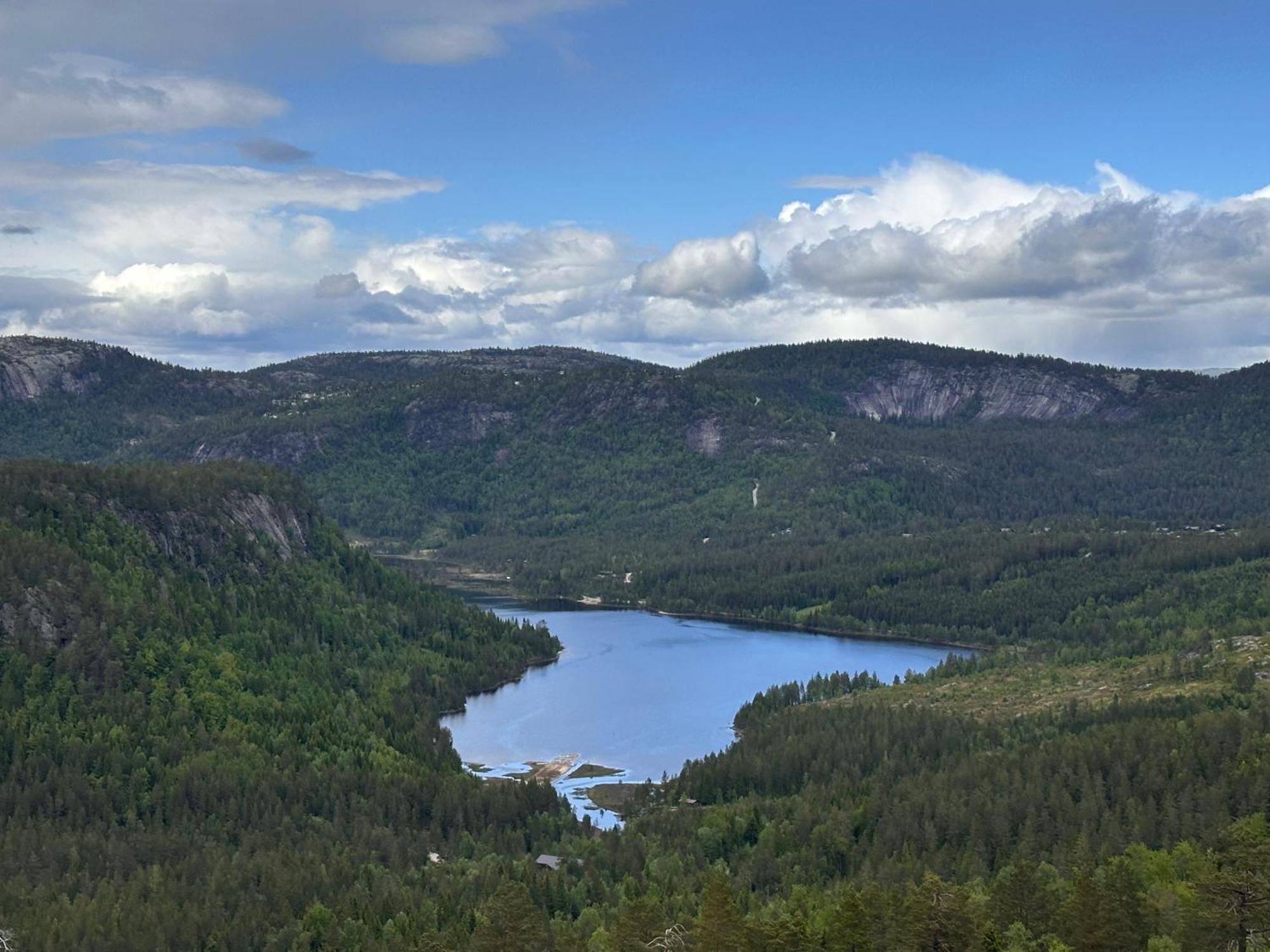 Modern Northern Lights Cabin Drangedal Eksteriør bilde